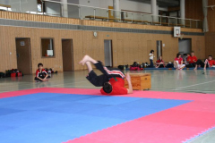 picture-0042