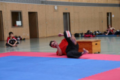 picture-0043