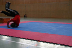 picture-0050