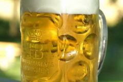 ksv_somfest08_034
