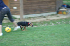 ksv_somfest08_054