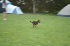 ksv_somfest08_058