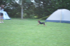 ksv_somfest08_065